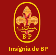Insígnia de BP